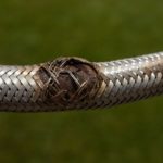 Burst Pipe and Flexi Hose Emergency Plumber Tips