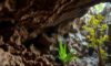 Belizean Caves: A Journey Through Archaeology and Nature