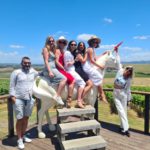 Discover Yarra Valley Wineries in 2025