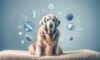Incontinence Solutions for Dogs: Top Management Tips
