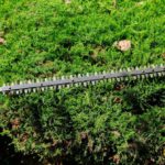 Hedge Trimming Tips for Stunning West Coker Gardens