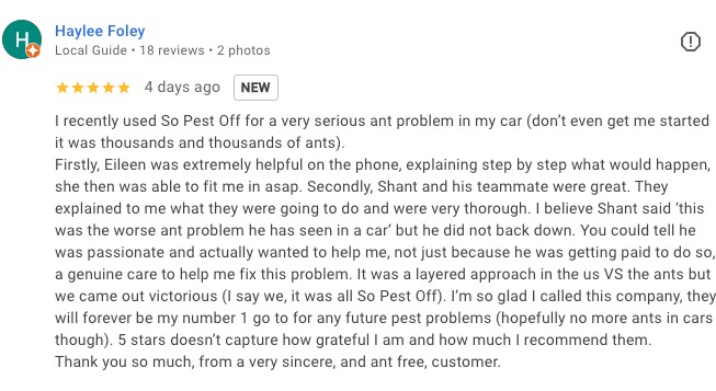 Customer Review of Pest Control Service