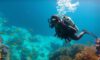 Big Blue Hole Diving Tips: Essential Guide for Adventurers