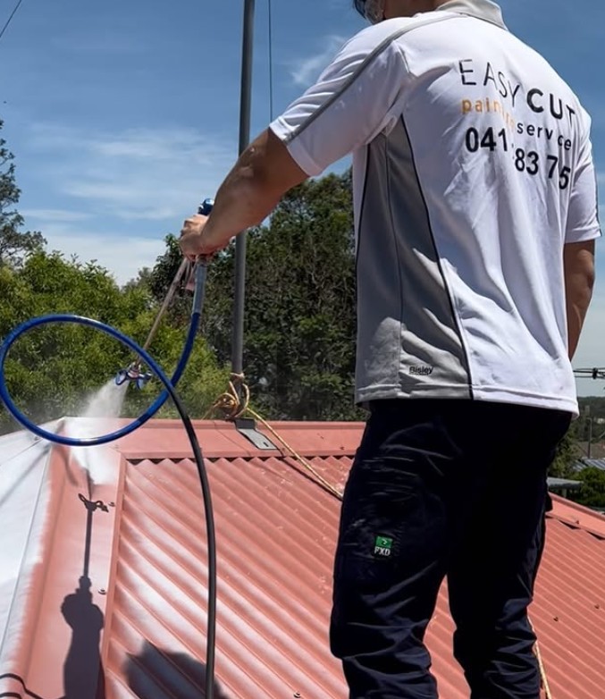 roof painting
