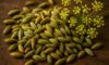 Fennel Seed Recipes for Delicious Italian and Indian Dishes