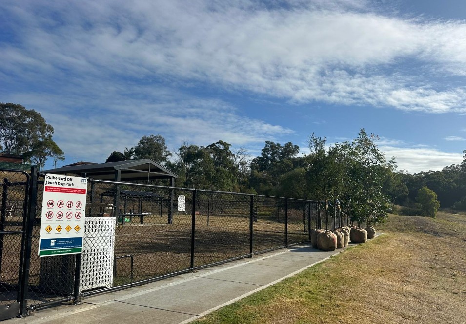 Tree Planting Event at Maitland’s Rutherford Dog Park