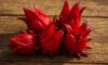 Hibiscus Flowers: Creative Cooking Methods and Ideas