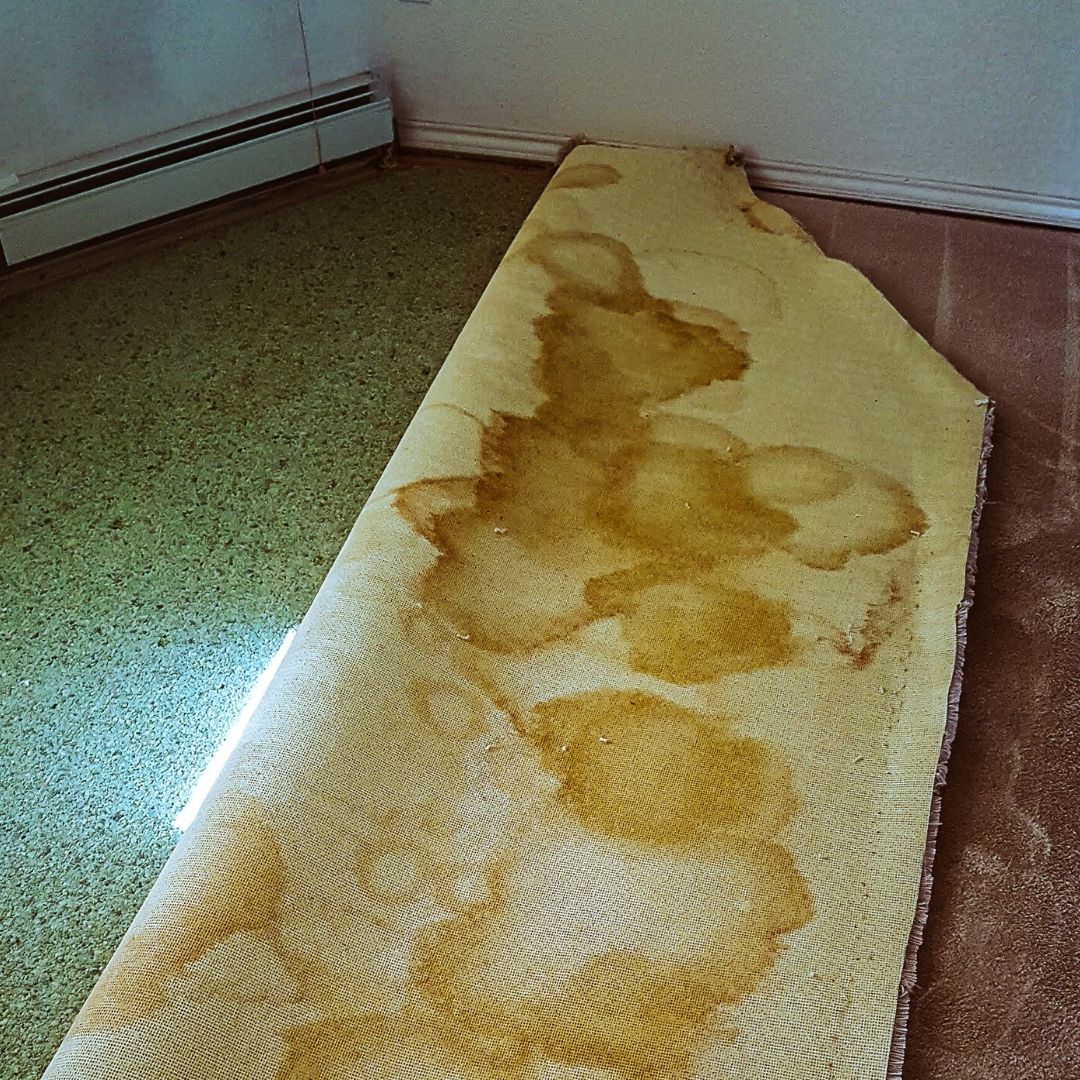 old carpet removal(3)