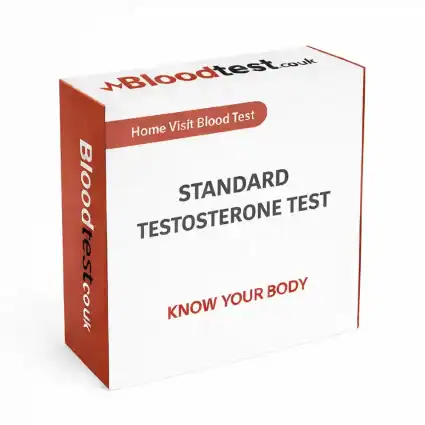 Low Testosterone Blood Test: A Guide for Plymouth Locals