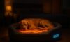 Temperature-Controlled Beds for Pets: Ultimate Comfort Options