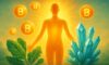 Clean Energy Supplements: Optimal Picks for Energy Boost