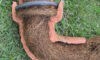 Tree Roots in Drains: Solutions for Sutherland Shire